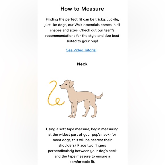 Wild One Dog Harness 3.0  - XS - Spruce - Picture 10 of 13